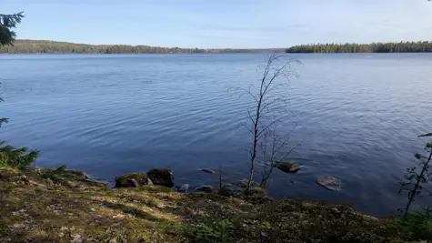 Kun haluat löytää unelmiesi rantatontin, UPM Bonvesta on kumppani, johon  voit luottaa tonttikauppasi kaikissa vaiheissa. | UP...